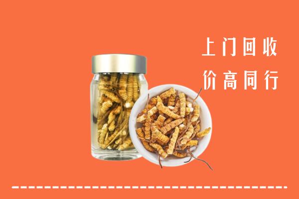 呼伦贝尔扎赉诺尔区回收冬虫夏草