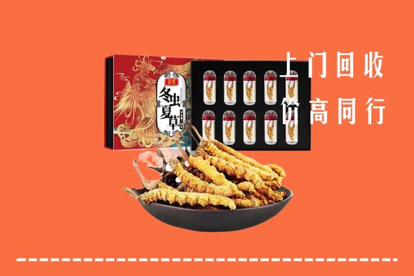 呼伦贝尔扎赉诺尔区回收虫草